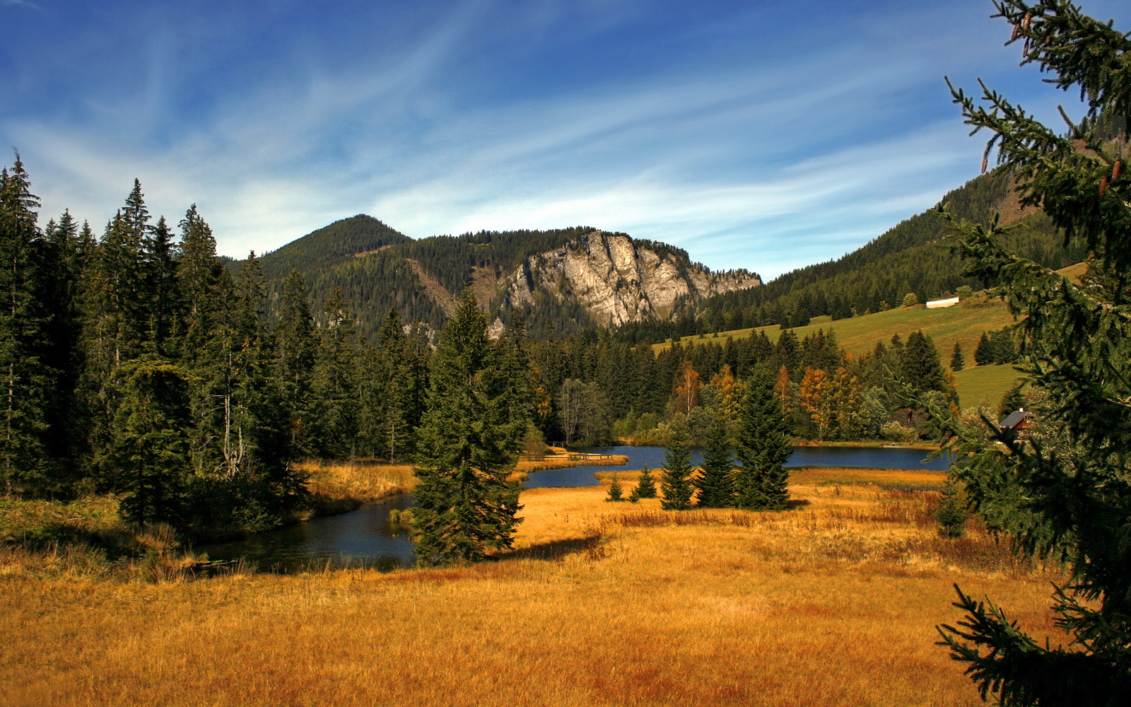 朱婷赛后落泪感谢全队支持,朱婷发文致谢